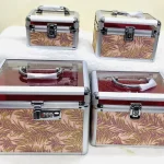 Pack of 4 PCs Professional Cosmetic Case