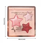 High Gloss Star Highlighter Palette Detail